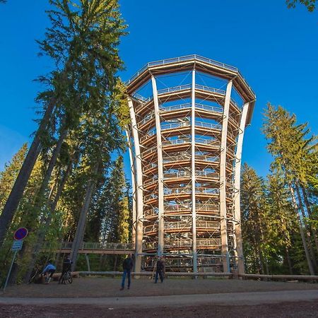 Horalka Apartman Pec Pec pod Sněžkou Buitenkant foto